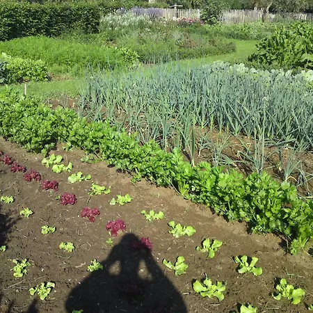 Hébergement de vacances Cozy Group House In Reusel In A Natural Environment Lage Mierde