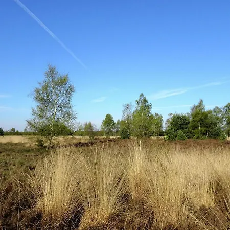 Cozy Group House In Reusel In A Natural Environment