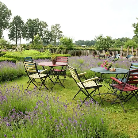 Cozy Group House In Reusel In A Natural Environment Holiday home
